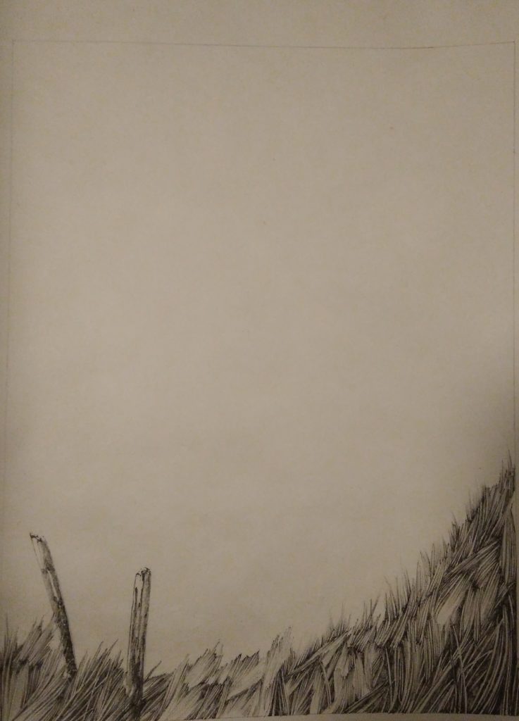 Wiese, Kunst, Zeichnungen