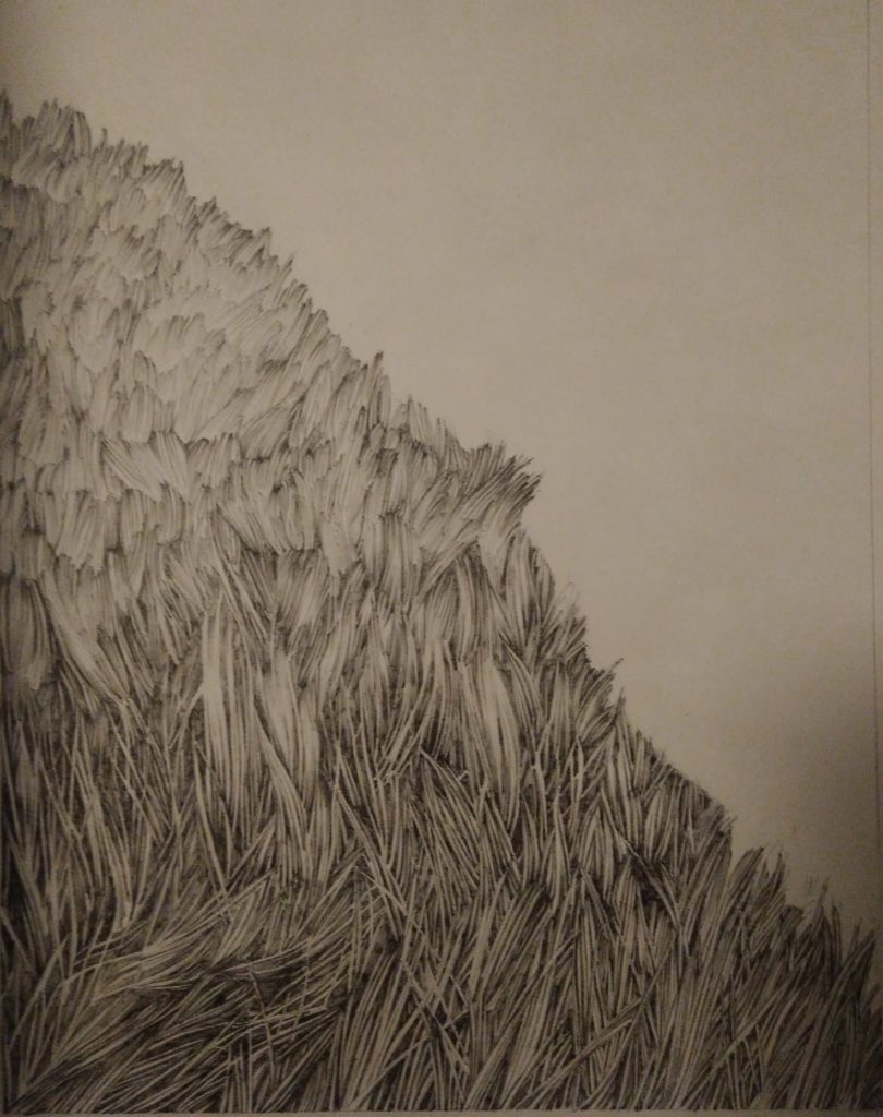 Mountain, herbs, ink, paper, black, white