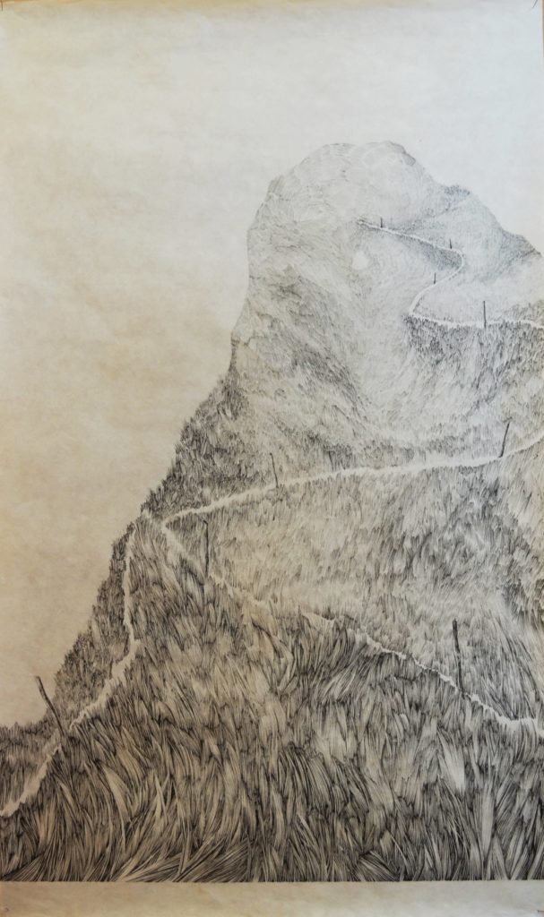 Henninger Emmanuel, mountains, grasses, ink