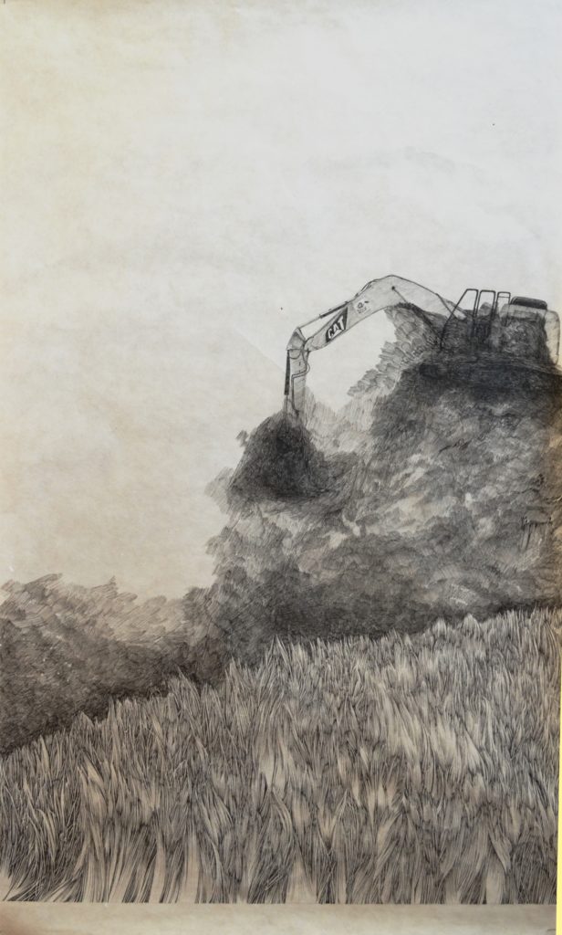 Henninger Emmanuel, déforestation, protection, prairies
