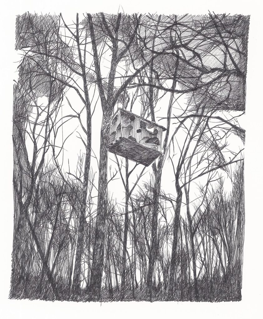 Cabane, bois, GCO, Kolbsheim, dessin, ZAD