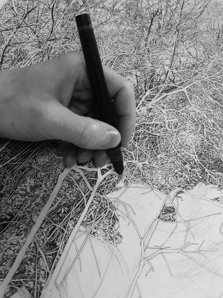 Emmanuel Henninger, In progress, 2020, Forest, Drawings, Nature, Ink on paper, Black and White