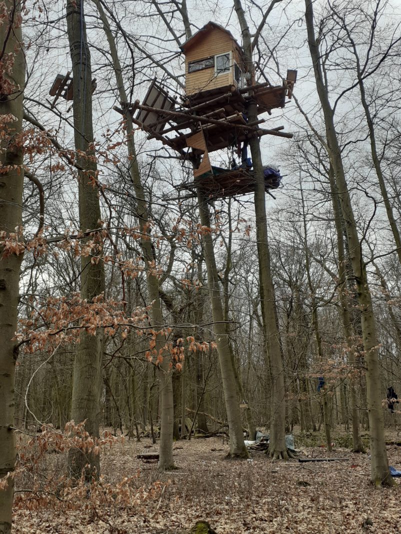 Emmanuel Henninger, Hambacher Wald, Deutschland, Art, Kunst