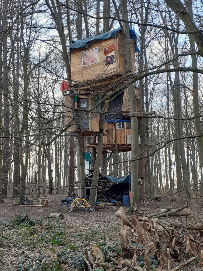 Emmanuel Henninger, Hambacher Wald, Deutschland