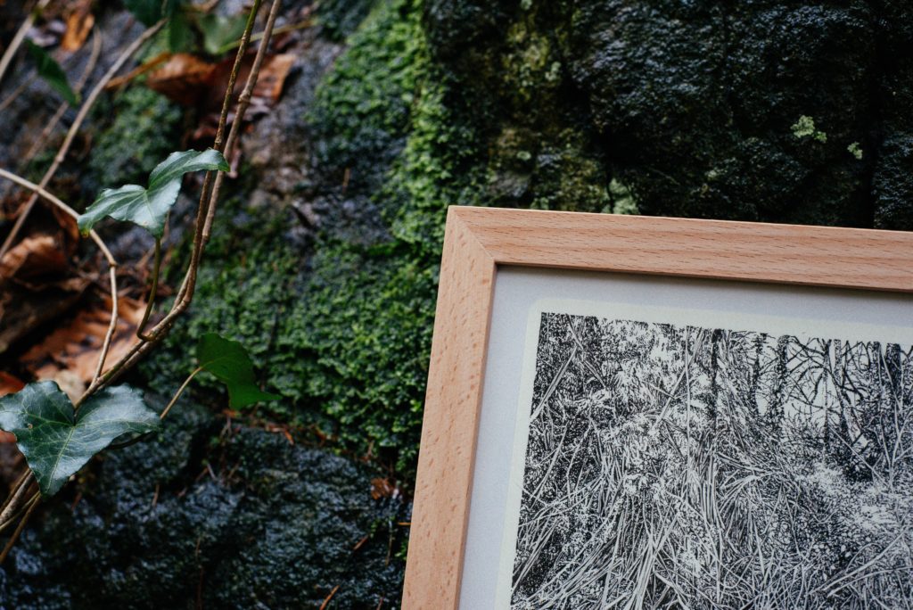 Emmanuel Henninger, art, henninger, drawing, nature, blackforest, freiburg, germany, france, alsace, ink