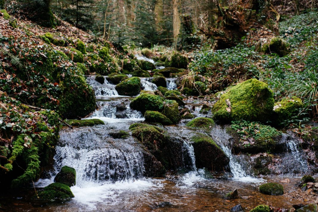 Olivier Kramer, Kramer, Art, Landschaften, Umwelt, Foto, art