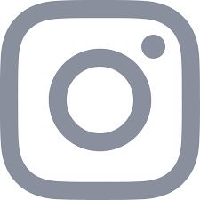 Résultat de recherche d'images pour "logo instagram gris"