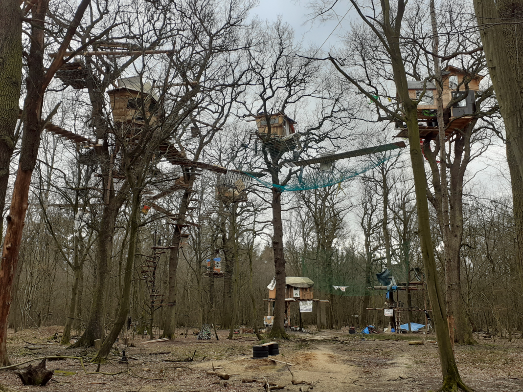 Emmanuel Henninger, Hambach Forest, Germany