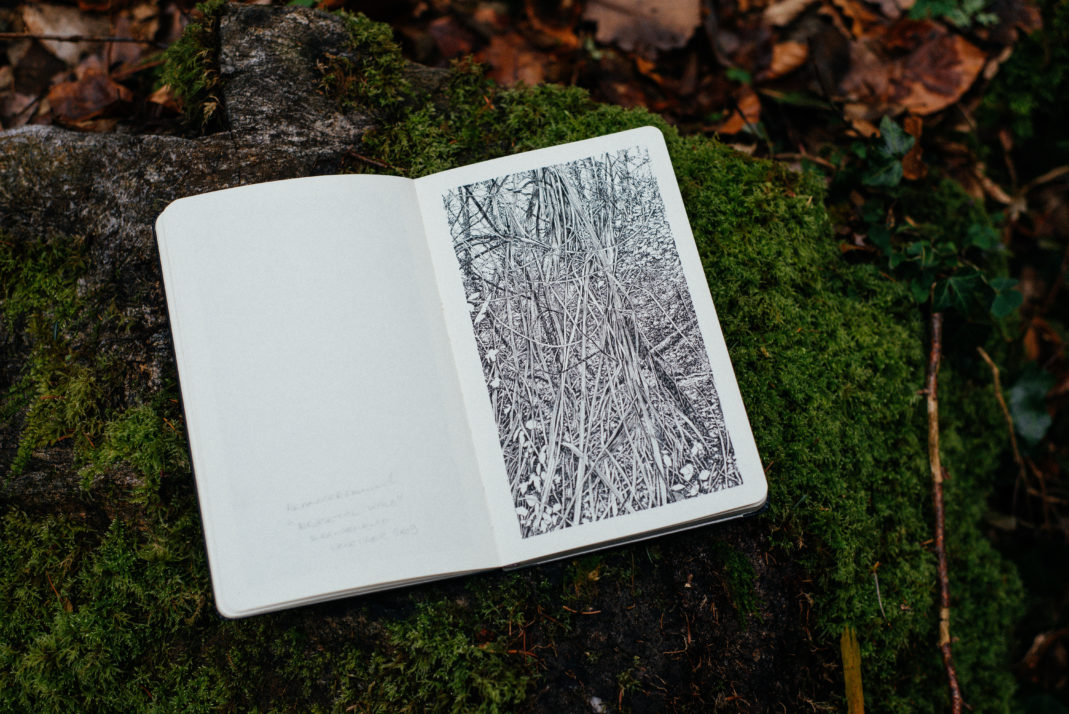 Emmanuel, Henninger, Art, Black, White, Landscape, Emmanuel Henninger, Art, French, Forest, Black and White, Ink, Territories, Contemporary art, Jungle, MDI, Mount Desert Island, Emmanuelhenninger, emmanuel, Henninger, art, drawing, notebook, skizzbook, book, draw, drawer, french, artist, mulhouse, france, usa, wood, forest, arte