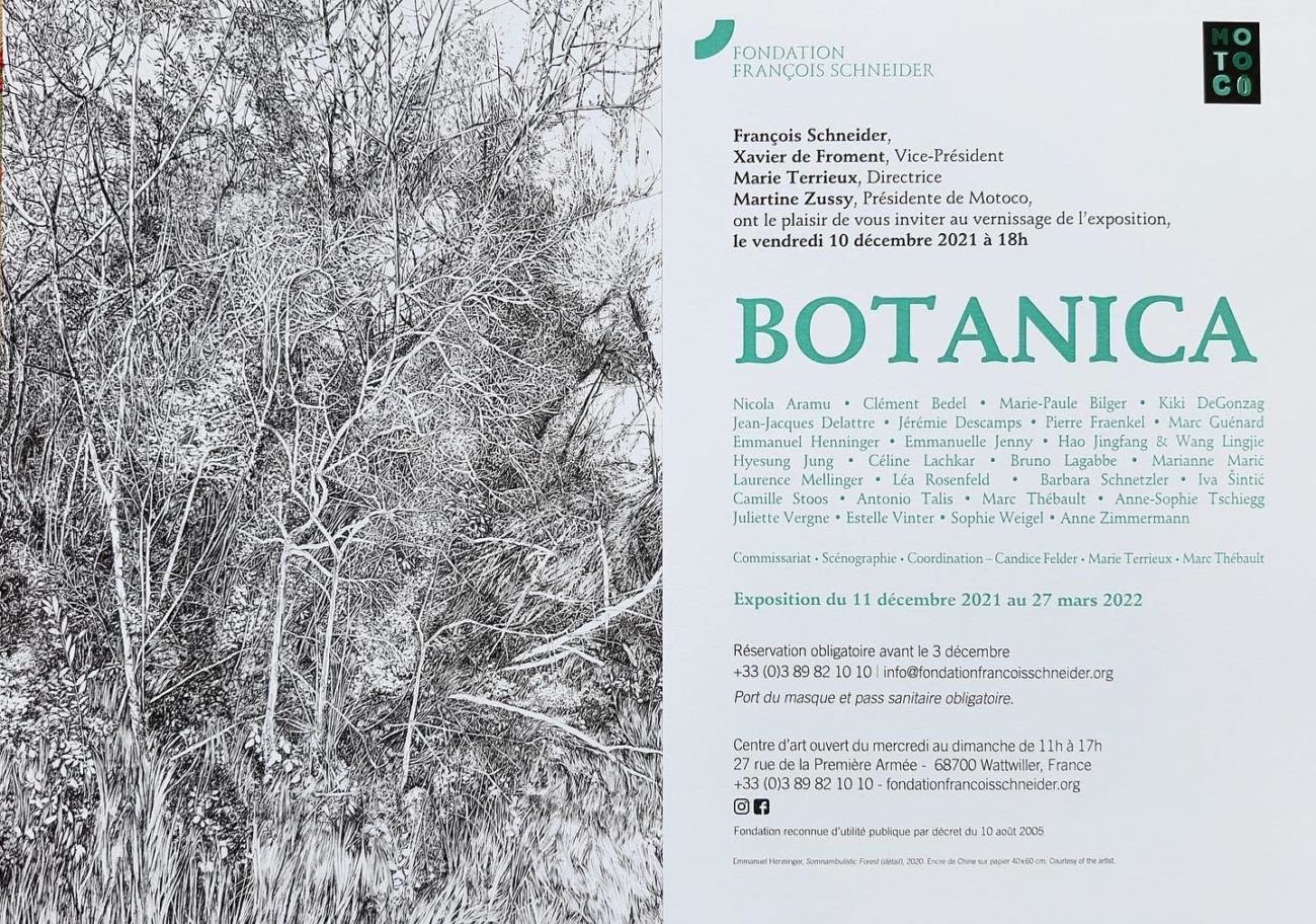 Botanica, henninger, dessin, exhibition, france, somnambulistic, forest, plantes, exposition, collective, alsace, drawing