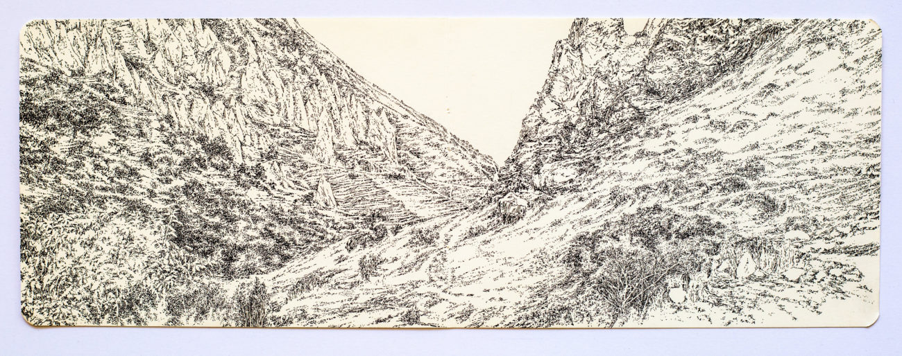 Goris, Yerevan, Artist, Forest, Emmanuel, Henninger, emmanuel henninger, trees, armenia, mountains, residency, program, atelier mondial, Kulturdialog, armenien, ink, dessin, paysage