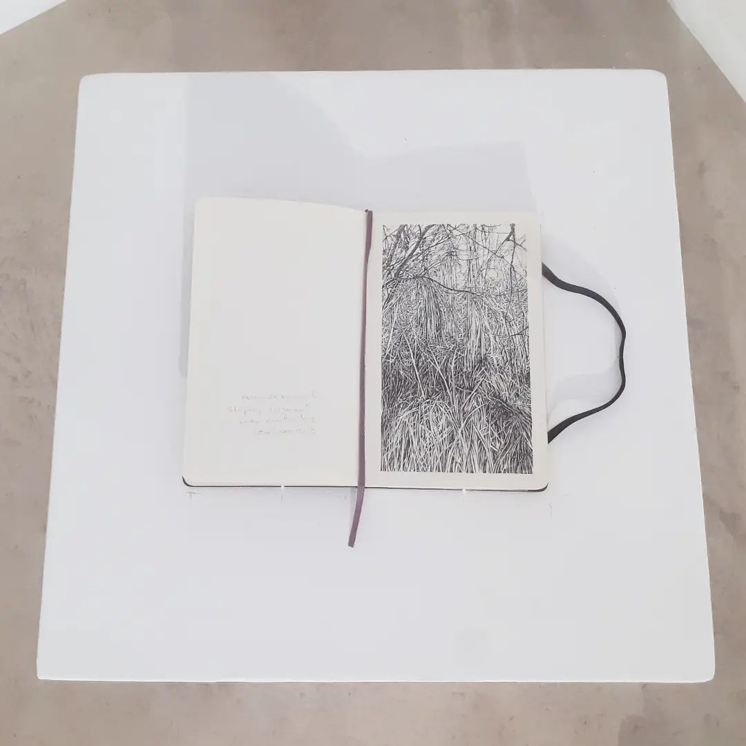 Carnet, Moleskine, Emmanuel Henninger, Art, Dessin, France, Mulhouse, Artiste, forêt, urwald, pencil, emergence