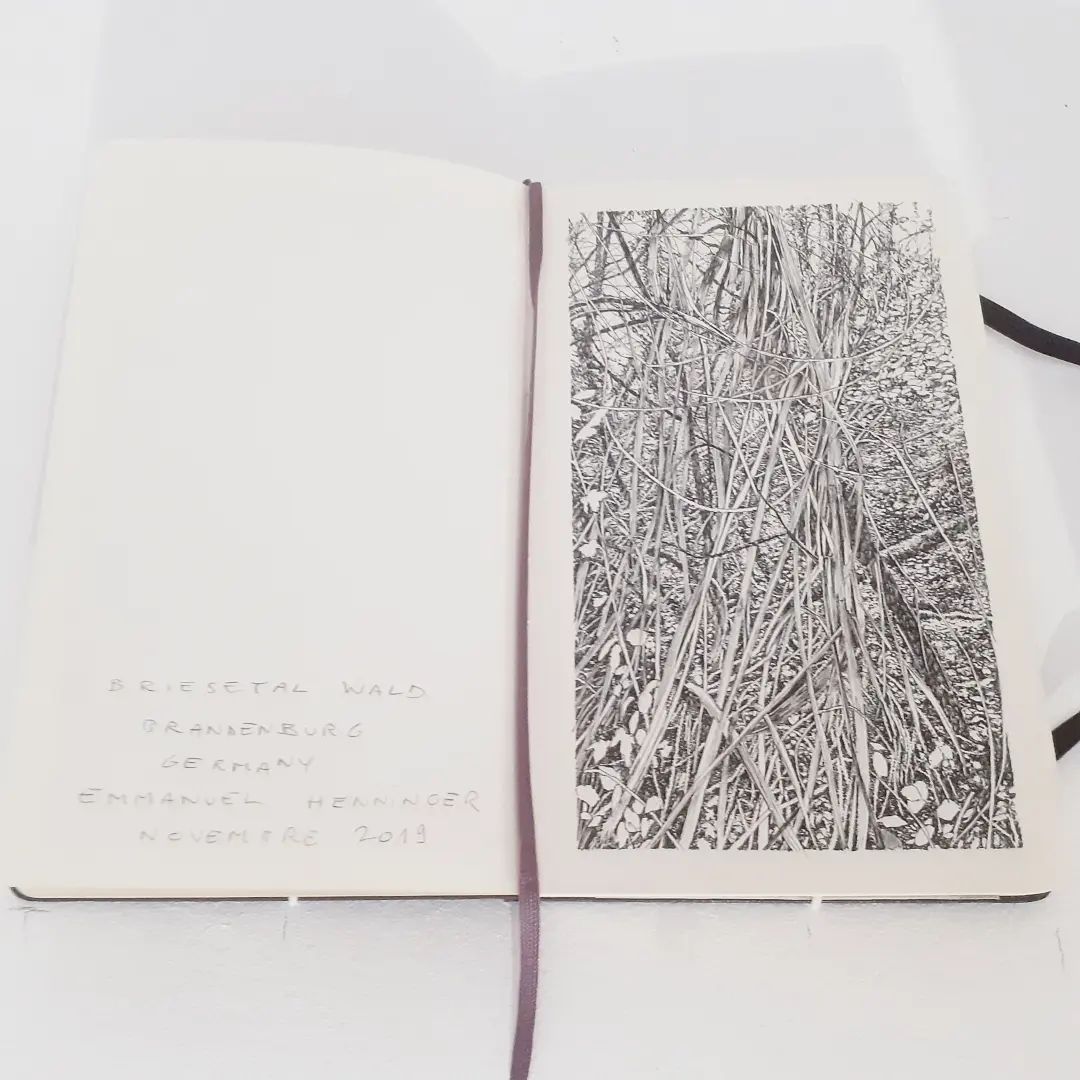 Carnet, Moleskine, Emmanuel Henninger, Art, Dessin, France, Mulhouse, Artiste, forêt, urwald, pencil, emergence