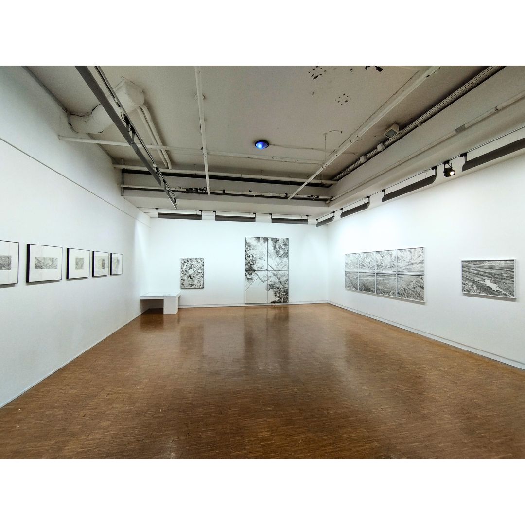 Biennale, Jeune Création, Dessin, Emmanuel Henninger, Mulhouse, France, Ink, Paysage, Détails, Art, Artiste