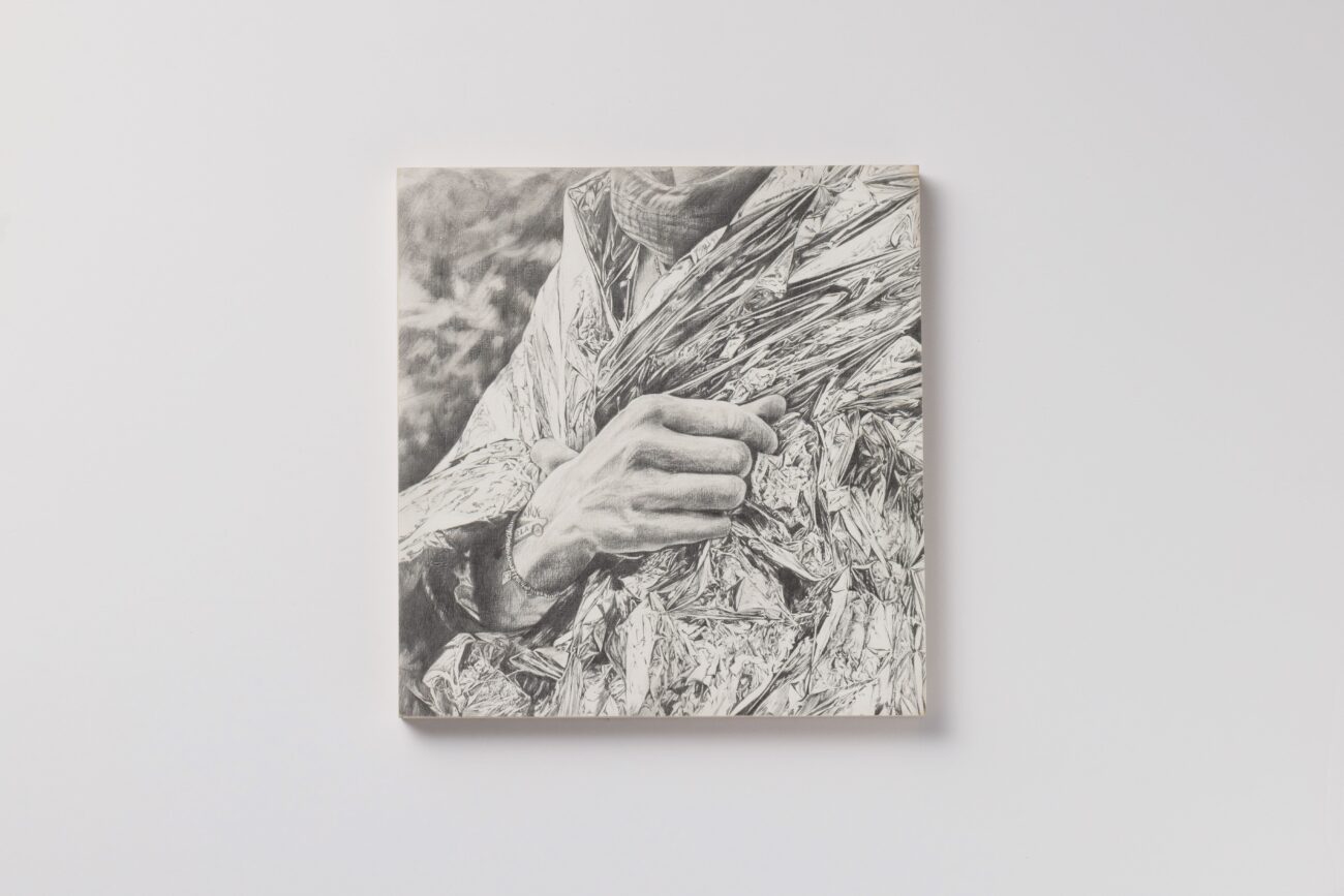 art, emmanuel henninger, dessin, graphite, militantisme, bois, mulhouse, grünheide, berlin, zad, foret, artiste, main, france, graphique