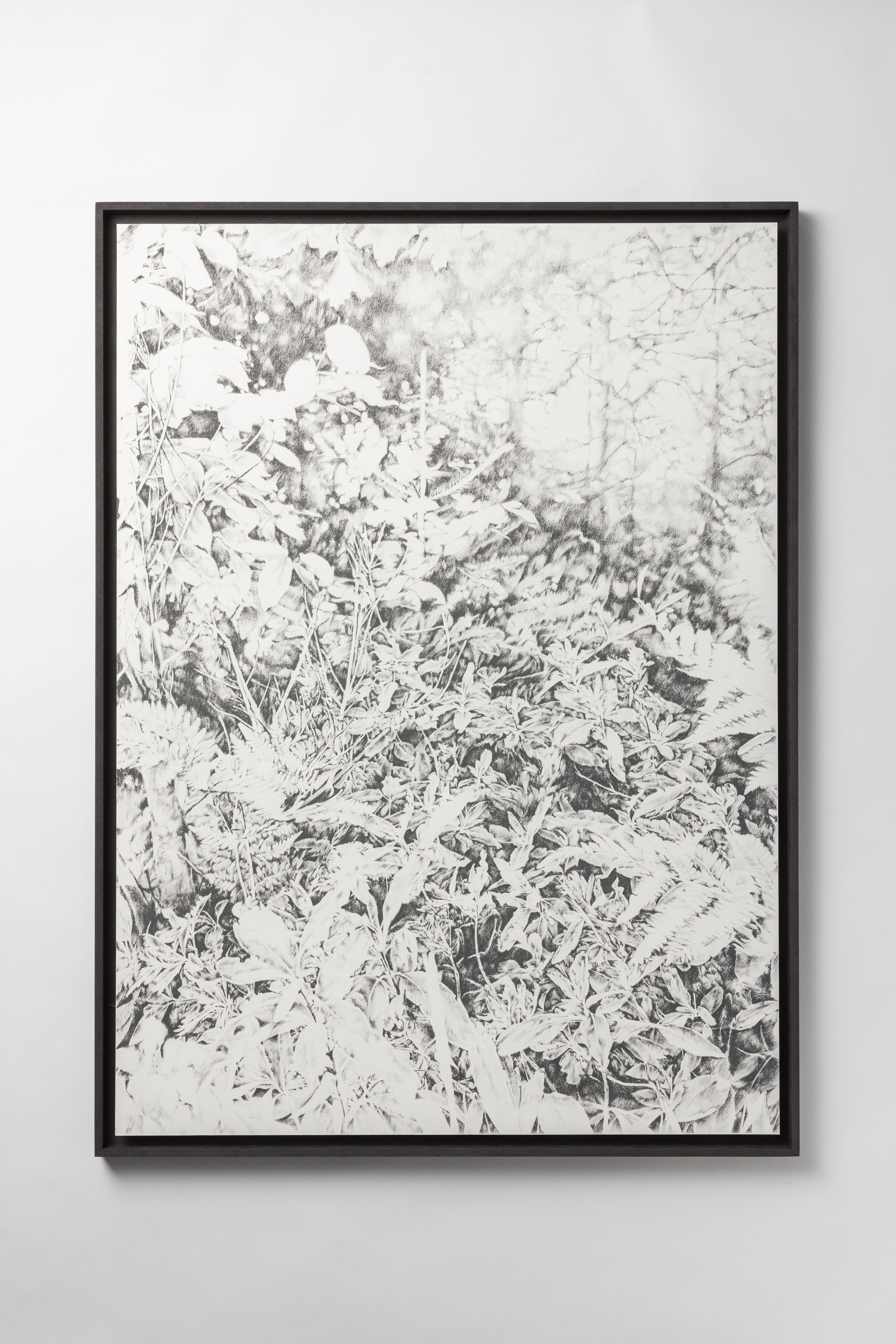 Siebdruck, art, kunst, henninger, elsass, frankreich, wald, zeichnen, zeichnung