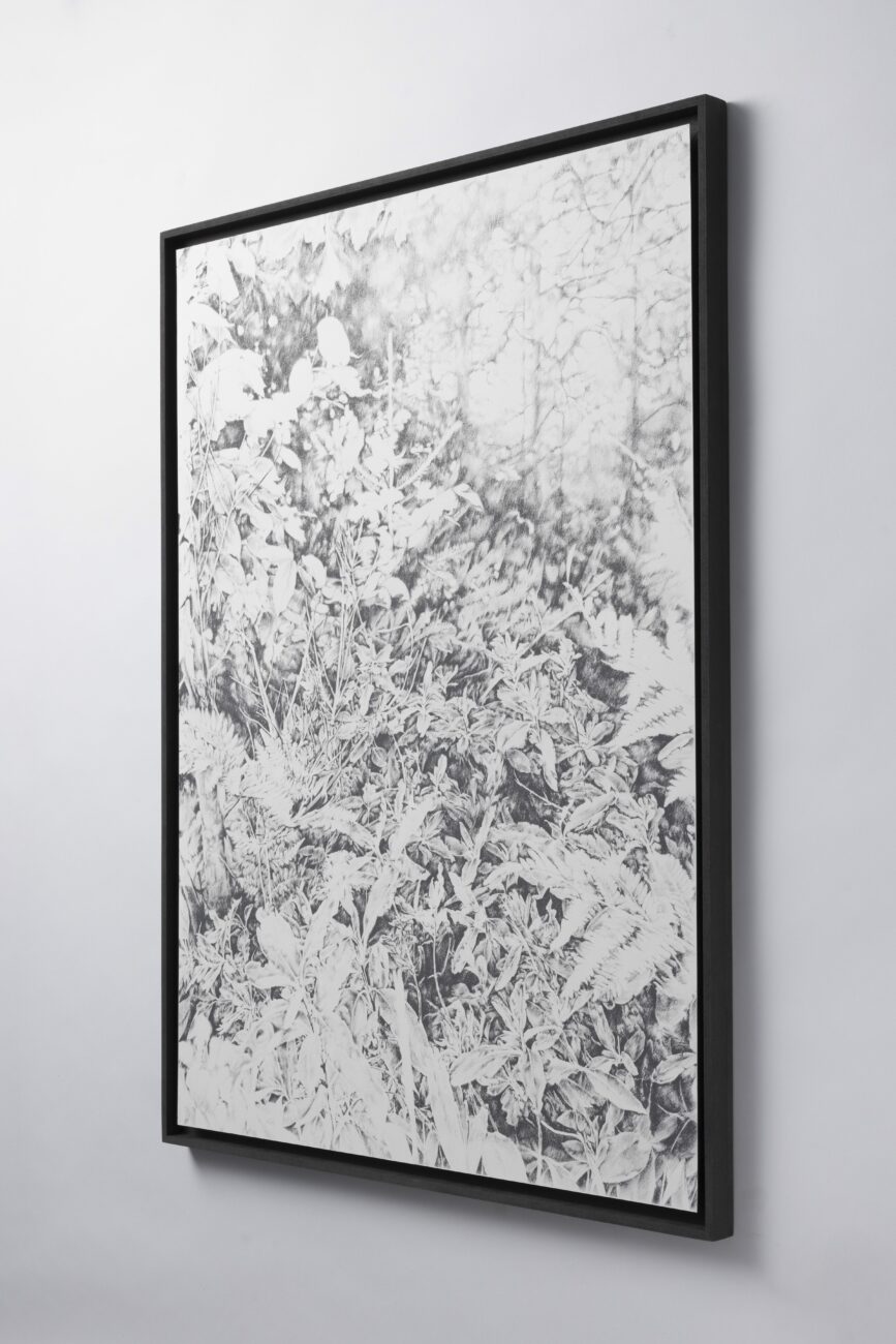 Siebdruck, art, kunst, henninger, elsass, frankreich, wald, zeichnen, zeichnung