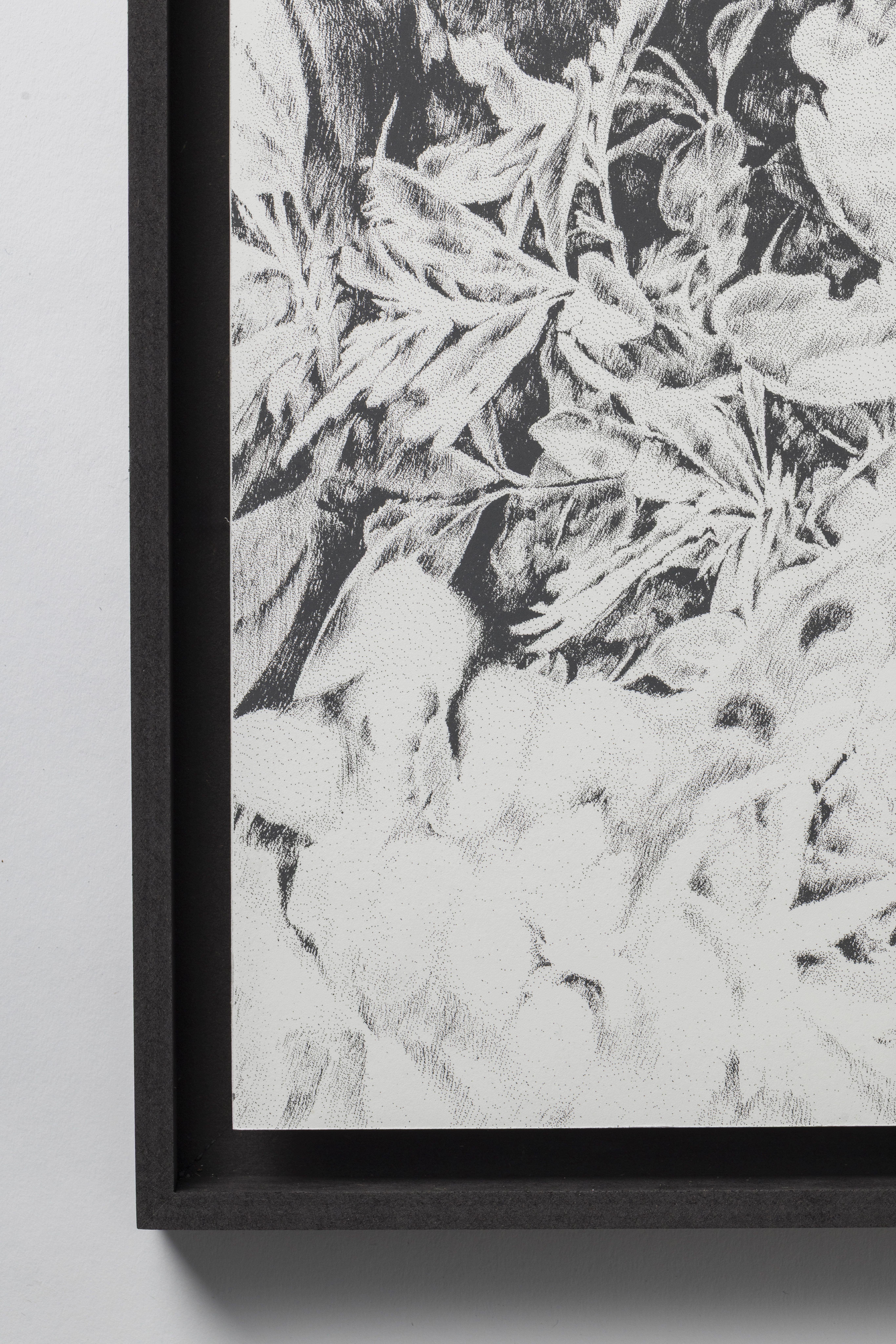 Siebdruck, art, kunst, henninger, elsass, frankreich, wald, zeichnen, zeichnung