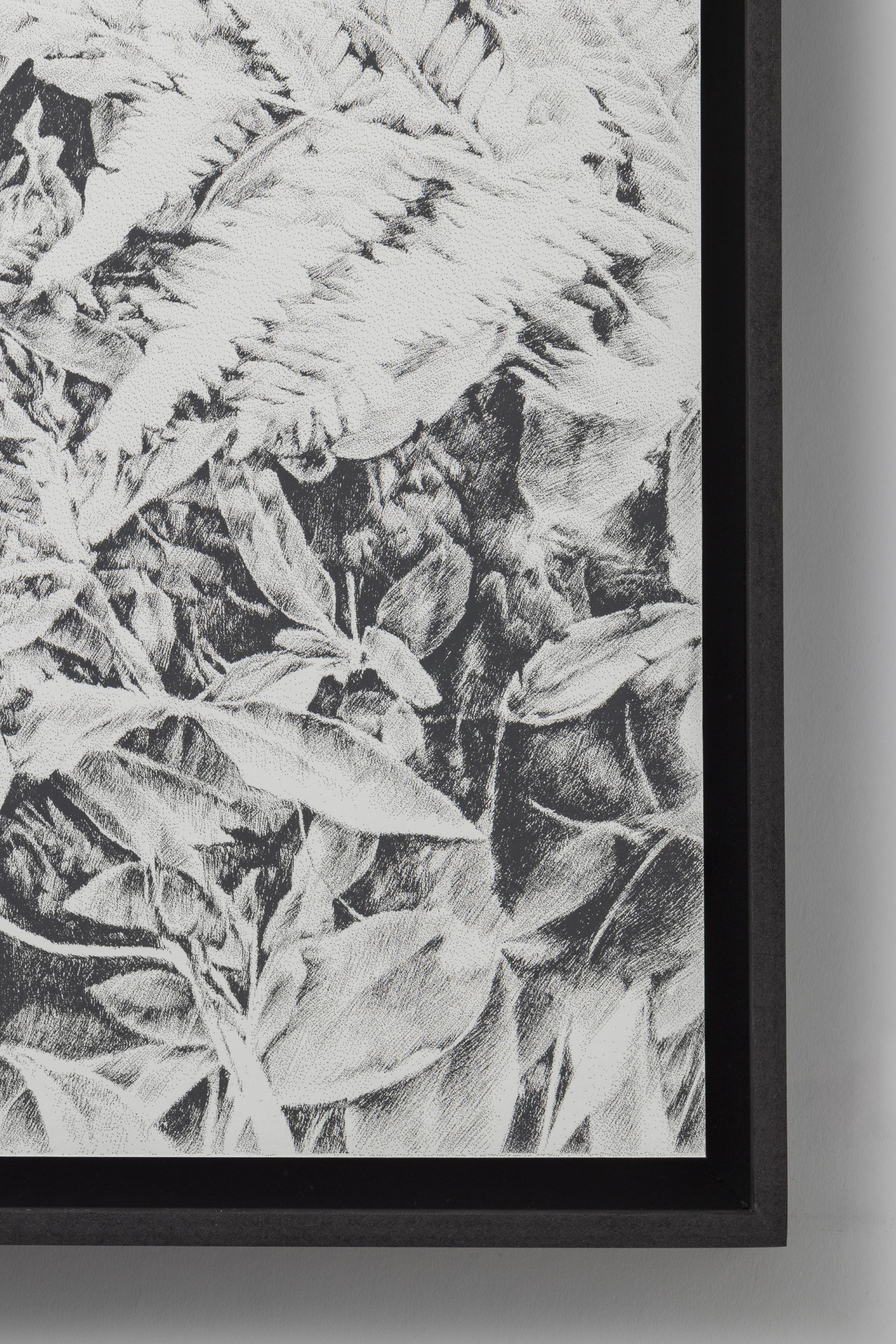 Siebdruck, art, kunst, henninger, elsass, frankreich, wald, zeichnen, zeichnung