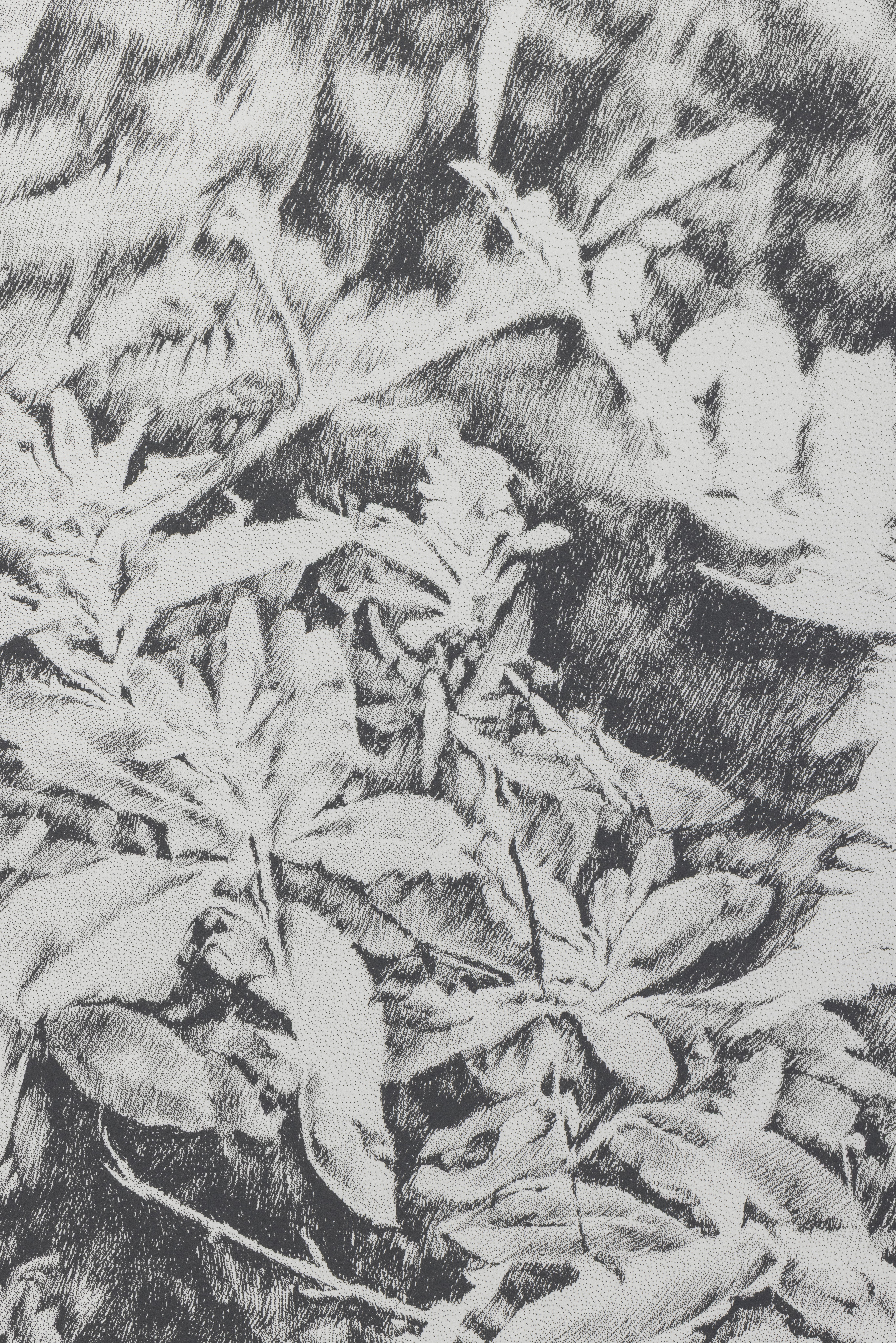 Siebdruck, art, kunst, henninger, elsass, frankreich, wald, zeichnen, zeichnung