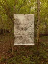 "Forêt primaire de demain"
Encre de Chine sur papier
80 x 120 cm
2019 (Collection privée) Emmanuel Henninger, Art, nature, foret, dessin, encre, Mulhouse, France, Artiste