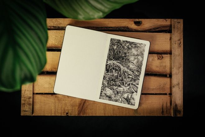 "Urwald von morgen #2"
Encre de Chine sur papier Moleskine
13 X 21 cm
2019 Emmanuel Henninger, photographie, dessin, paysage, Allemagne