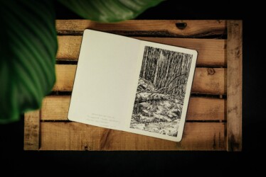 "Urwald von morgen #3"
Encre de Chine sur papier Moleskine
13 X 21 cm
2019 Emmanuel Henninger, dessin, paysage, Allemagne, encre de Chine