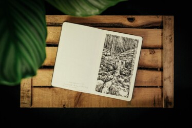 "Urwald von morgen #5"
Encre de Chine sur papier Moleskine
13 X 21 cm
2019 Forêt, Emmanuel Henninger, Dessin, Cascade, Oliver Kramer