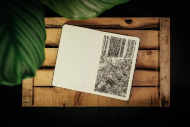 "Urwald von morgen #4"
Encre de Chine sur papier Moleskine
13 x 21 cm
2019 Emmanuel Henninger, dessin, art, Allemagne, Oliver Kramer