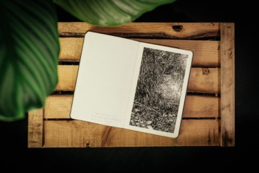 "Urwald von morgen #1"
Encre de Chine sur papier Moleskine
13x21 cm
2019 Urwald, Emmanuel Henninger, Oliver Kramer, Photographie, forêt