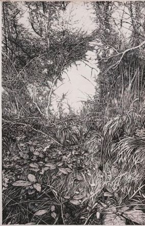 "Wood"
Encre de Chine sur papier
40 x 60 cm
2019 (Collection privée) Emmanuel Henninger, Art, dessin, forêt