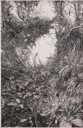 "Wood"
Encre de Chine sur papier
40 x 60 cm
2019 (Collection privée) Emmanuel Henninger, Art, dessin, forêt