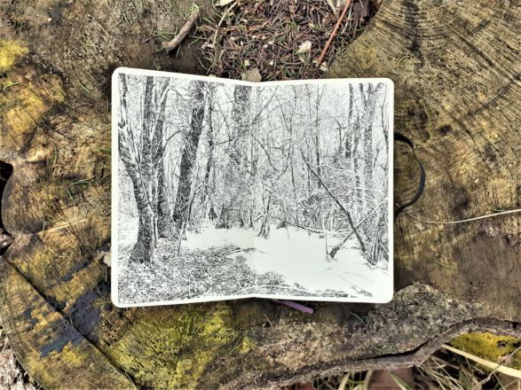 "Forêt de Hambach" - Encre de Chine sur papier Moleskine - 21 x 26 cm - 2020 Emmanuel, Henninger, Art