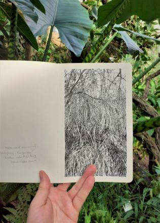 "Urwald von morgen #7" (Forêt de Briesetal) - Encre de Chine sur papier Moleskine - 13 x 21 cm - 2019 Emmanuel, Henninger, Art
