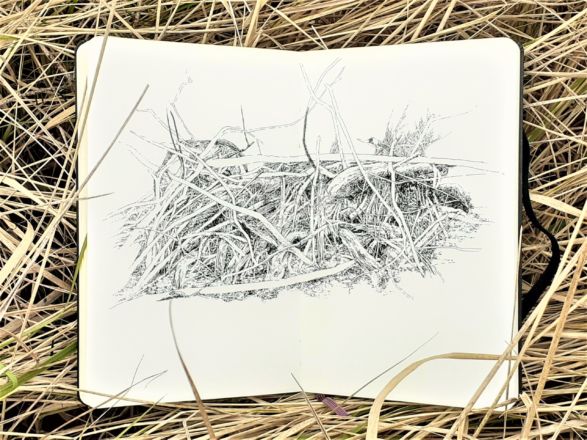 "Barricade" (Forêt de Hambach) - Encre de Chine sur papier Moleskine - 13 x 21 cm - 2020 Emmanuel, Henninger, art