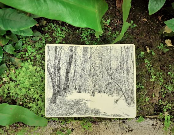 "Forêt de Hambach" - Encre de Chine sur papier Moleskine - 21 x 26 cm - 2020 Emmanuel, Henninger, Art