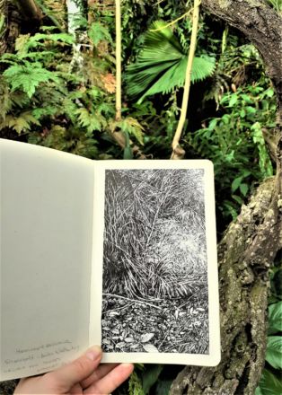 "Urwald von morgen #2" (Forêt de la Hardt) - Encre de Chine sur papier Moleskine - 13 x 21 cm - 2019 Emmanuel, Henninger, Art