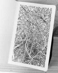 "Urwald von morgen #9"
Encre de Chine sur papier Moleskine
13 x 21 cm
2019 Emmanuel Henninger, Art, Drawing, Nature