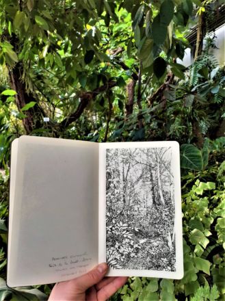 "Urwald von morgen #8" (Forêt de Merzhausen) - Encre de Chine sur papier Moleskine - 13 x 21 cm - 2019 Emmanuel, Henninger, Art