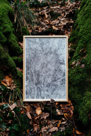 "Somnambulistic Forest"
Encre de Chine sur papier
40 x 60 cm
2020 Emmanuel Henninger, dessin, forêt, allemagne