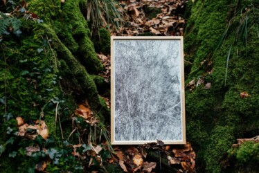 "Somnambulistic Forest"
Encre de Chine sur papier
40 x 60 cm
2020 Emmanuel Henninger, Art, French, Mulhouse, Drwing