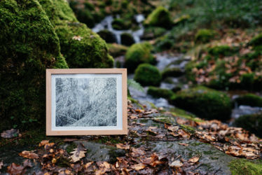 "Eùropa arbaro"
Encre de Chine sur papier Moleskine
21 x 26 cm
2020 Emmanuel Henninger, forest, nature, environnment, Oliver Kramer,art, germany