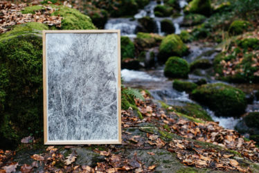 "Somnambulistic Forest"
Encre de Chine sur papier
40 x 60 cm
2020 Emmanuel Henninger, Drawing, Landscape, Tree, Germany