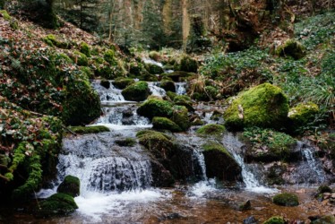 Cascade à Kandel / Baden-Württemberg (Allemagne) Oliver Kramer, Allemagne, Photographie, Nature, Forêt