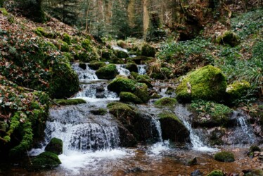 Cascade à Kandel / Baden-Württemberg (Allemagne) Oliver Kramer, Allemagne, Photographie, Nature, Forêt