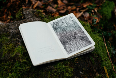"Urwald von morgen #7"
Encre de Chine sur papier Moleskine
13 x 21 cm
2019 Emmanuel Henninger, Oliver Kramer, dessin, photo, forêt, nature