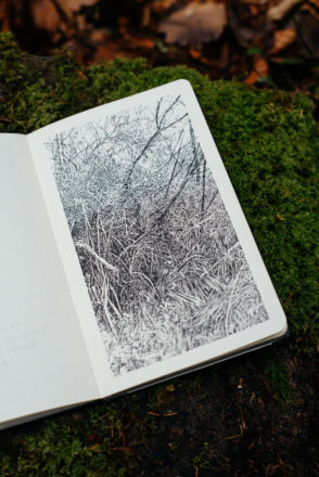 Urwald von morgen #10
Encre de Chine sur papier Moleskine
13 x 21 cm
2019 Emmanuel Henninger, Oliver Kramer, dessin, photographie, forêt
