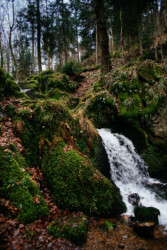 Cascade à Kandel / Baden-Württemberg (Allemagne) Casacade, forêt noire, Oliver Kramer, photographie