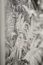 Détail : Urwald von morgen