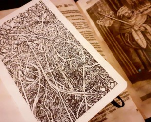 "Urwald von morgen #9" (Forêt de Montenach) - Encre de Chine sur papier Moleskine - 2019